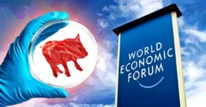 WEF Calls for ‘Cultural Revolution’ to Promote Lab-Grown Meat